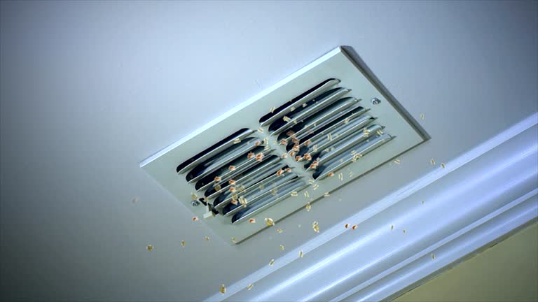Best Air Duct Cleaning Company Near Me  in Merrillville, IN