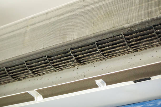Best Affordable Duct Cleaning Services  in Merrillville, IN